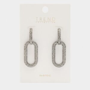 Brincos Ovais Prateados